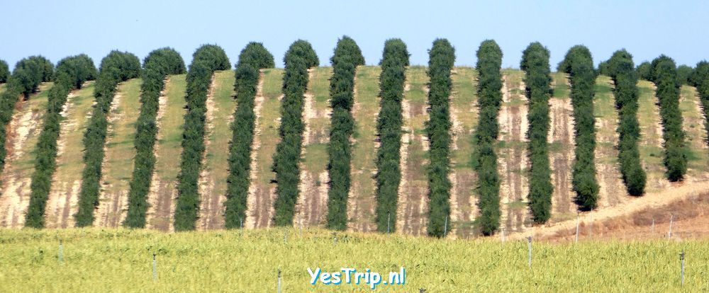 xxx From Olite to Villafranca